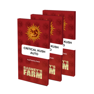 Barneys Farm Critical Kush | Automatic | 3 seeds
