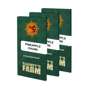 Barneys Farm Pineapple Chunk | Feminisiert | 3 Samen
