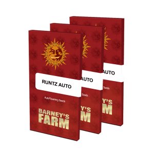 Barneys Farm Runtz | Automatik | 3 Samen