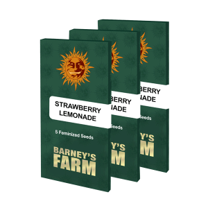 Barneys Farm Strawberry Lemonade | Feminisiert | 10 Samen
