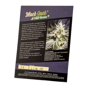 Sweet Seeds Black Jack F1 Fast Version | Feminized | 5 seeds