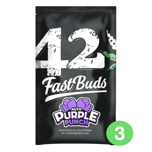 Fast Buds Purple Punch | Auto | 3er