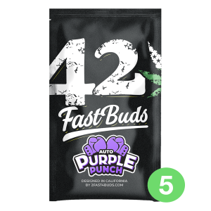 Fast Buds Purple Punch | Automatic | 5 seeds