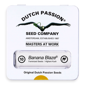 Dutch Passion Banana Blaze | Feminized | 100 seeds - on order