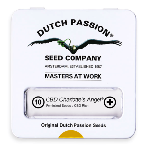 Dutch Passion CBD Charlottes Angel | Feminisiert | 100 Samen - auf Bestellung