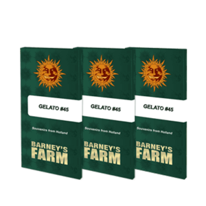 Barneys Farm Gelato #45 | Feminized | 3 seeds