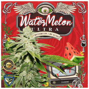 T.H. Seeds Watermelon Ultra 710 Limited | Feminisiert | 7...
