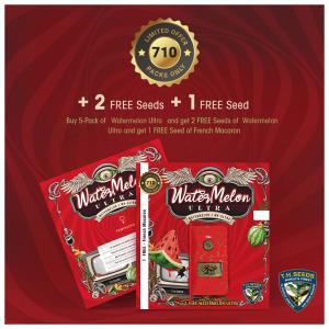 T.H. Seeds Watermelon Ultra 710 Limited | Feminisiert | 7 Samen
