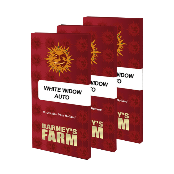 Barneys Farm White Widow | Auto | 10er