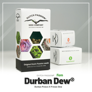 Dutch Passion Durban Dew | Feminisiert | 5 Samen