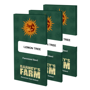 Barneys Farm Lemon Tree | Feminisiert | 5 Samen