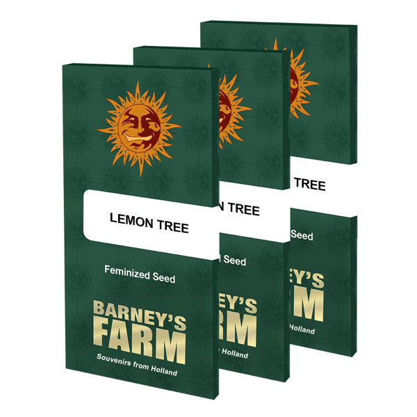 Barneys Farm Lemon Tree | Fem | 10er