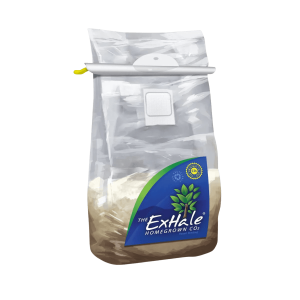 Easygrow Exhale CO2 bag | Regular