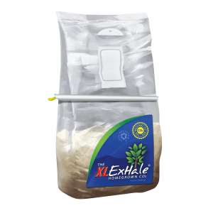 Easygrow Exhale CO2 bag | XL