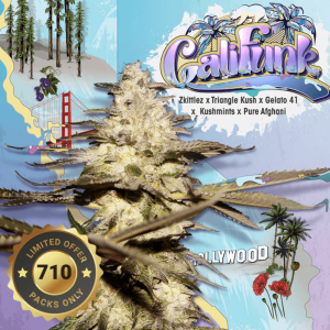 T.H. Seeds CaliFunk 710 Limited | Feminized | 7 seeds