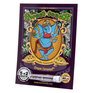 Sweet Seeds Cream Caramel | Feminisiert | 100 Samen - auf Bestellung