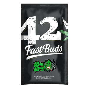 Fast Buds Original Big Bud | Automatik | 3 Samen