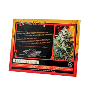 Sweet Seeds Big Devil XL | Automatic | 25 seeds - on order