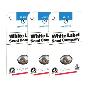 White Label AK 420 | Feminized | 3/5/10 seeds