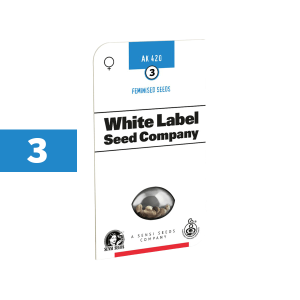 White Label AK 420 | Feminized | 3 seeds
