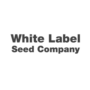 White Label AK 420 | Feminized | 10 seeds