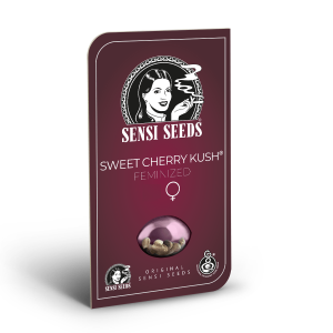 Sensi Seeds Sweet Cherry Kush | Feminized | 3 seeds