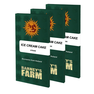 Barneys Farm Ice Cream Cake | Feminized | 3 seeds