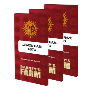 Barneys Farm Lemon Haze | Automatic | 3 seeds