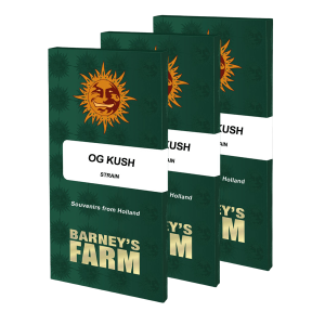 Barneys Farm OG Kush | Feminized | 10 seeds