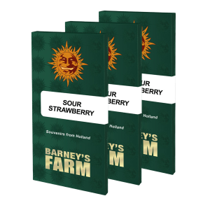 Barneys Farm Sour Strawberry | Feminisiert | 3 Samen