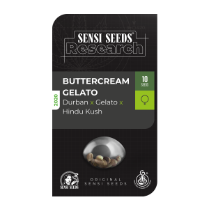 Sensi Seeds Buttercream Gelato | Feminized | 3/5/10 seeds