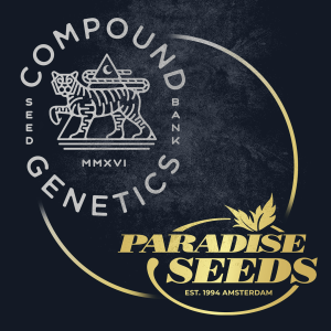 Compound Genetics High Society | Feminized | 5 or 10 seeds