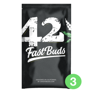 Fast Buds Original Chemdawg | Automatic | 3/5/10/100 seeds