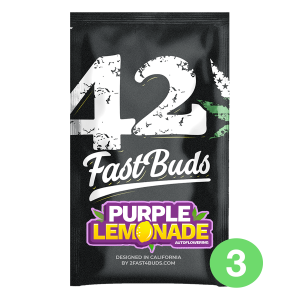 Fast Buds Purple Lemonade | Automatic | 3/5/10/100 seeds