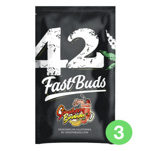 Fast Buds Strawberry Banana | Automatik | 3/5/10/100 Samen