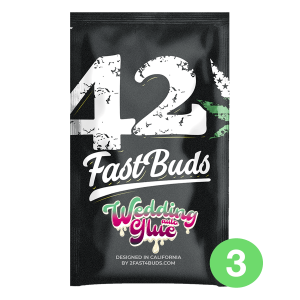 Fast Buds Wedding Glue | Automatik | 3/5/10/100 Samen