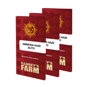 Barneys Farm Amnesia Haze | Automatic | 3/5/10 seeds