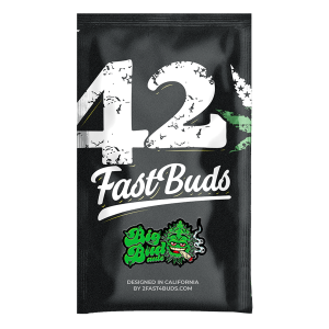 Fast Buds Original Big Bud | Automatic | 3/5/10/100 seeds