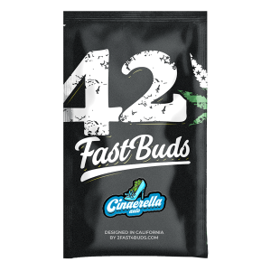 Fast Buds Original Cinderella | Automatik | 3/5/10/100 Samen