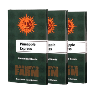 Barneys Farm Pineapple Express | Feminized | 3/5/10 seeds