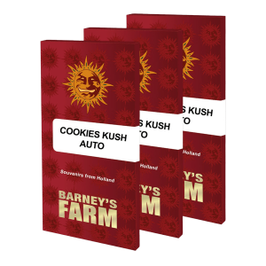 Barneys Farm Cookies Kush | Automatic | 3/5/10 seeds