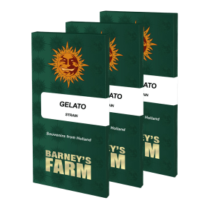 Barneys Farm Gelato | Feminized | 3/5/10 seeds
