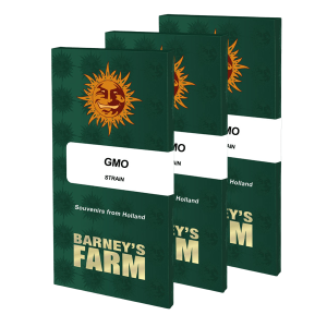 Barneys Farm GMO | Feminisiert | 3/5/10 Samen