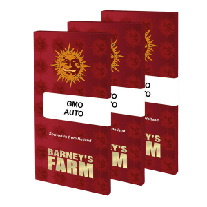 Barneys Farm GMO | Automatik | 3/5/10 Samen