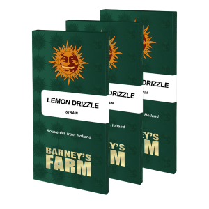 Barneys Farm Lemon Drizzle | Feminisiert | 3/5/10 Samen
