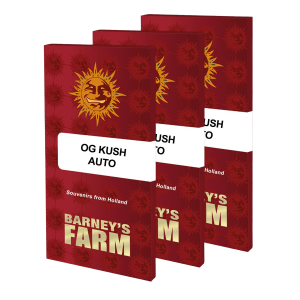 Barneys Farm OG Kush | Automatic | 3/5/10 seeds