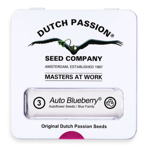 Dutch Passion Auto Blueberry | Automatik | 3/7/100 Samen