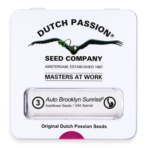 Dutch Passion Auto Brooklyn Sunrise | Automatic | 3/7/100...