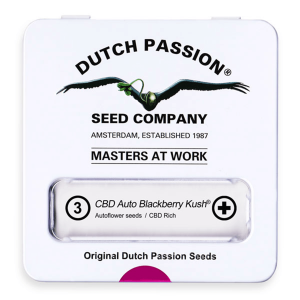 Dutch Passion Auto CBD Blackberry Kush | Automatik |...