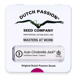 Dutch Passion Auto Cinderella Jack | Automatic | 3/7/100...